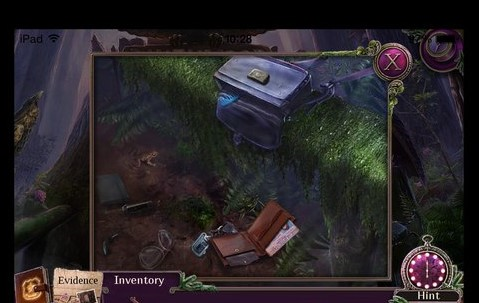 乌鸦森林之谜219