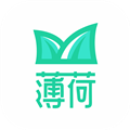薄荷下载