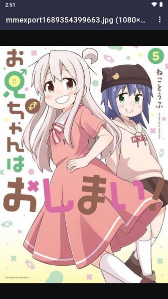 真寻壁纸库图集展示