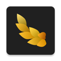 NYMF会员解锁版 免登录版v1.5.4 下载-NYMF破解版下载