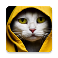Make AI Art
