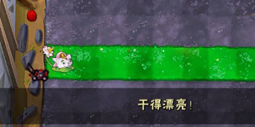 PvZ西游随机版 PvZ西游随机版