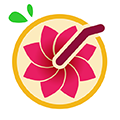 安全期 1.7 下载-安全期2026app下载