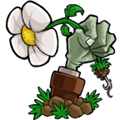 植物大战僵尸lz重制版
