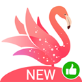 Yome Live 安卓版v3.3.3 下载-Yome Live 2026app下载