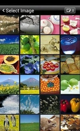 佳能移动打印图集展示