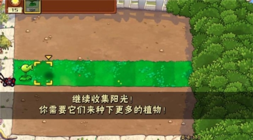 植物僵尸war 植物僵尸war