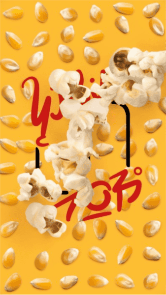 盛开的歌图片2