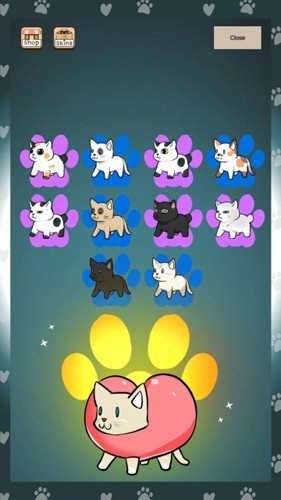 现在领养我图片2