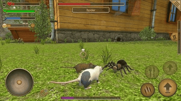 老鼠生存模拟器图片2