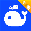 workplusse 安卓版v7.1.1 下载-workplusse专业版下载