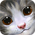 3D可爱口袋猫免广告版 v1.0.9.3 下载-3D可爱口袋猫游戏下载