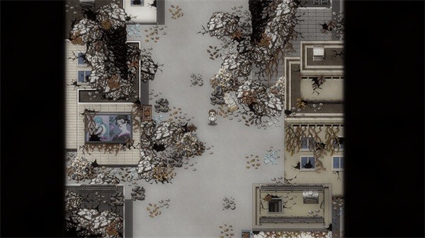 残世界的鸢尾花图集展示