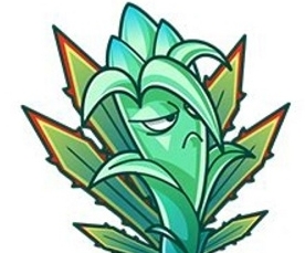 植物大战僵尸双人对战版