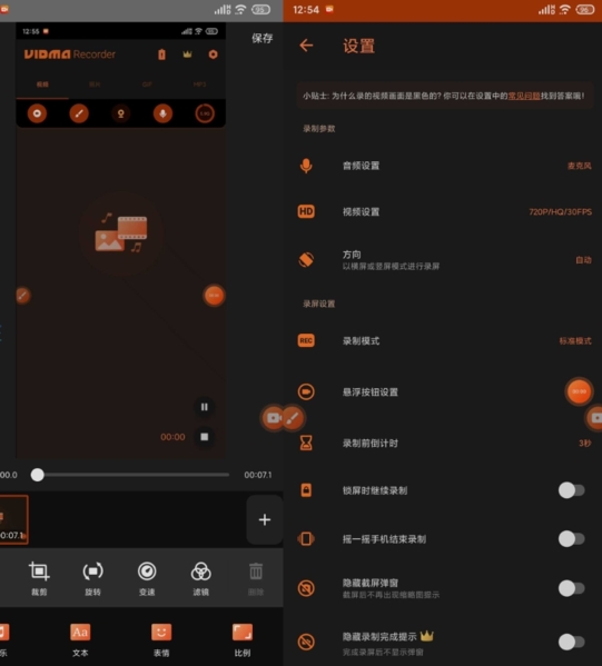 Vidma Recorder图片2