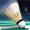 Real Badminton游戏 安卓版v1.07 下载-Real Badminton手机版下载