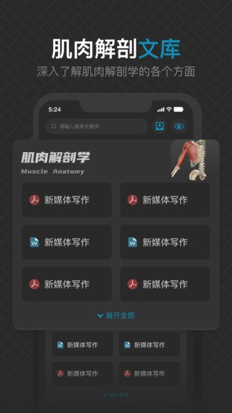 3D肌肉解剖图片1
