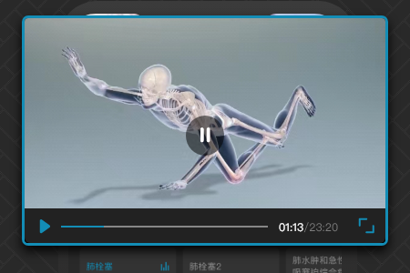 3D肌肉解剖图片3