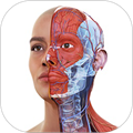 Complete Anatomy 安卓版v10.5.0 下载-Complete Anatomy手机版下载