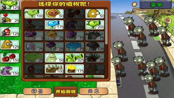 植物大战僵尸仿e支魔幻版 植物大战僵尸仿e支魔幻版