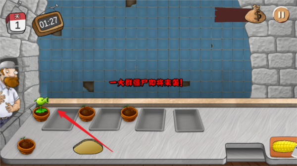 沙威玛植物大战僵尸无限金币版 沙威玛植物大战僵尸无限金币版