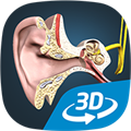 耳朵和听力机制 (The mechanism of hearing educational VR 3D)安卓中文版v1.27 下载-3D人体耳朵2026app下载