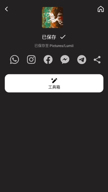 Lumii图片10