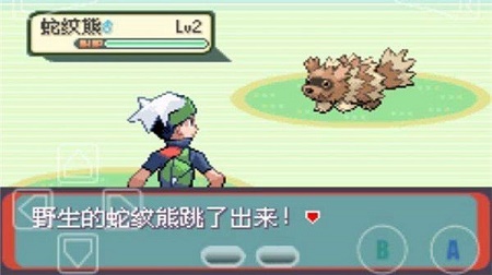 口袋妖怪增强绿宝石内置修改器