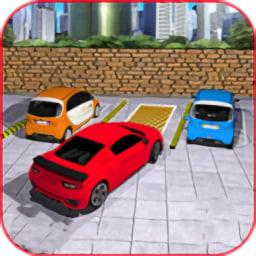 豪华停车场大师