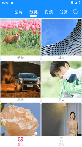 绵越壁纸手机版