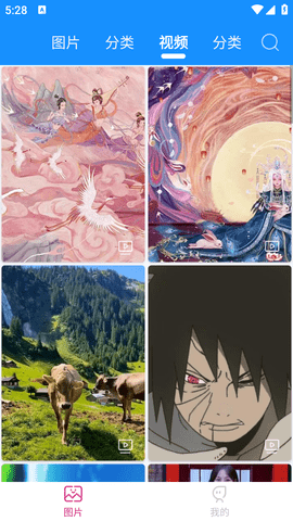 绵越壁纸手机版