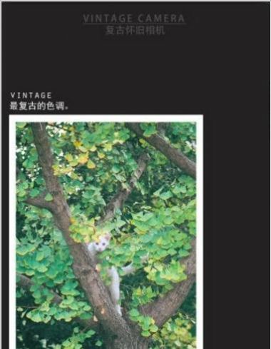复古怀旧相机最新版