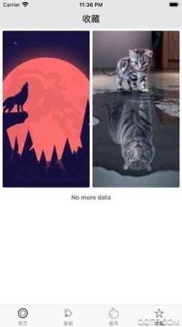 百变桌面壁纸手机版