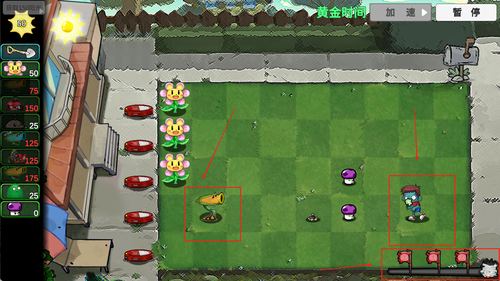 杂交植物勇战僵尸