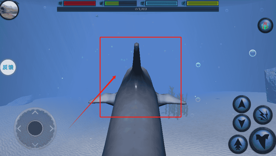 海洋动物模拟器