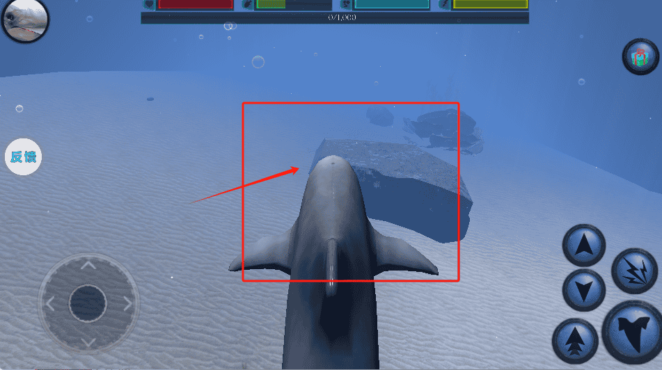 海洋动物模拟器