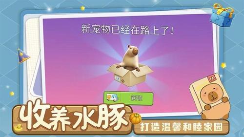 萌宠卡皮巴拉模拟