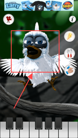 会说话的拉里鸟