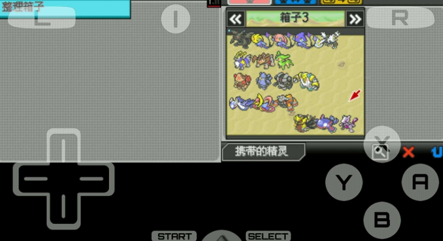 口袋妖怪超透黑