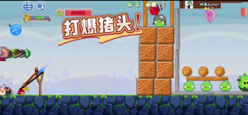 我的鸟制造免费安装