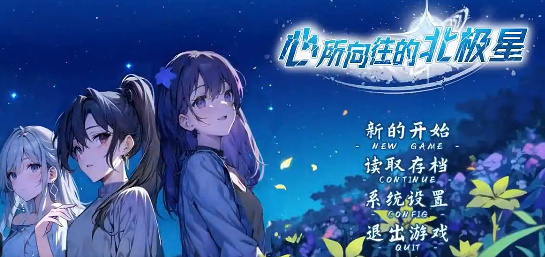 心所向往的北极星