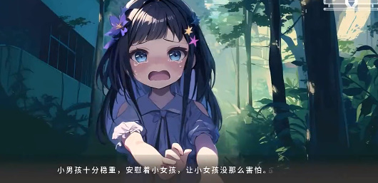 心所向往的北极星