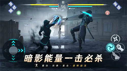 暗影格斗三国服