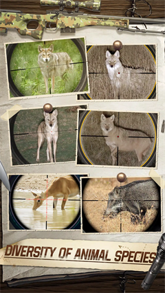 狩猎狙击手3d内置菜单