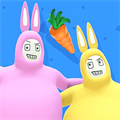 疯狂兔子人联机版