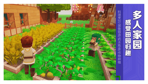 龙与家园官方版