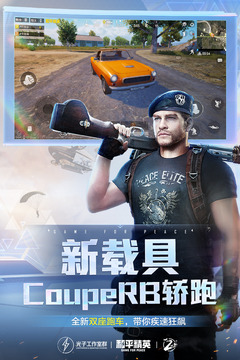 和平精英萌猫版