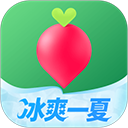 叮咚买菜官方版下载 v12.4.0安卓版-叮咚买菜2026app下载