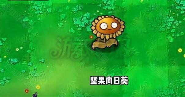 植物大战僵尸杂交版3.2.1