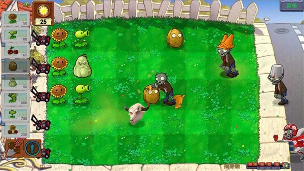 PVZ指导版